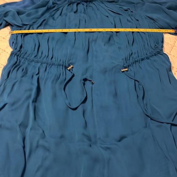 Tibi Georgette’s runway drawstring dress - Picture 13 of 13